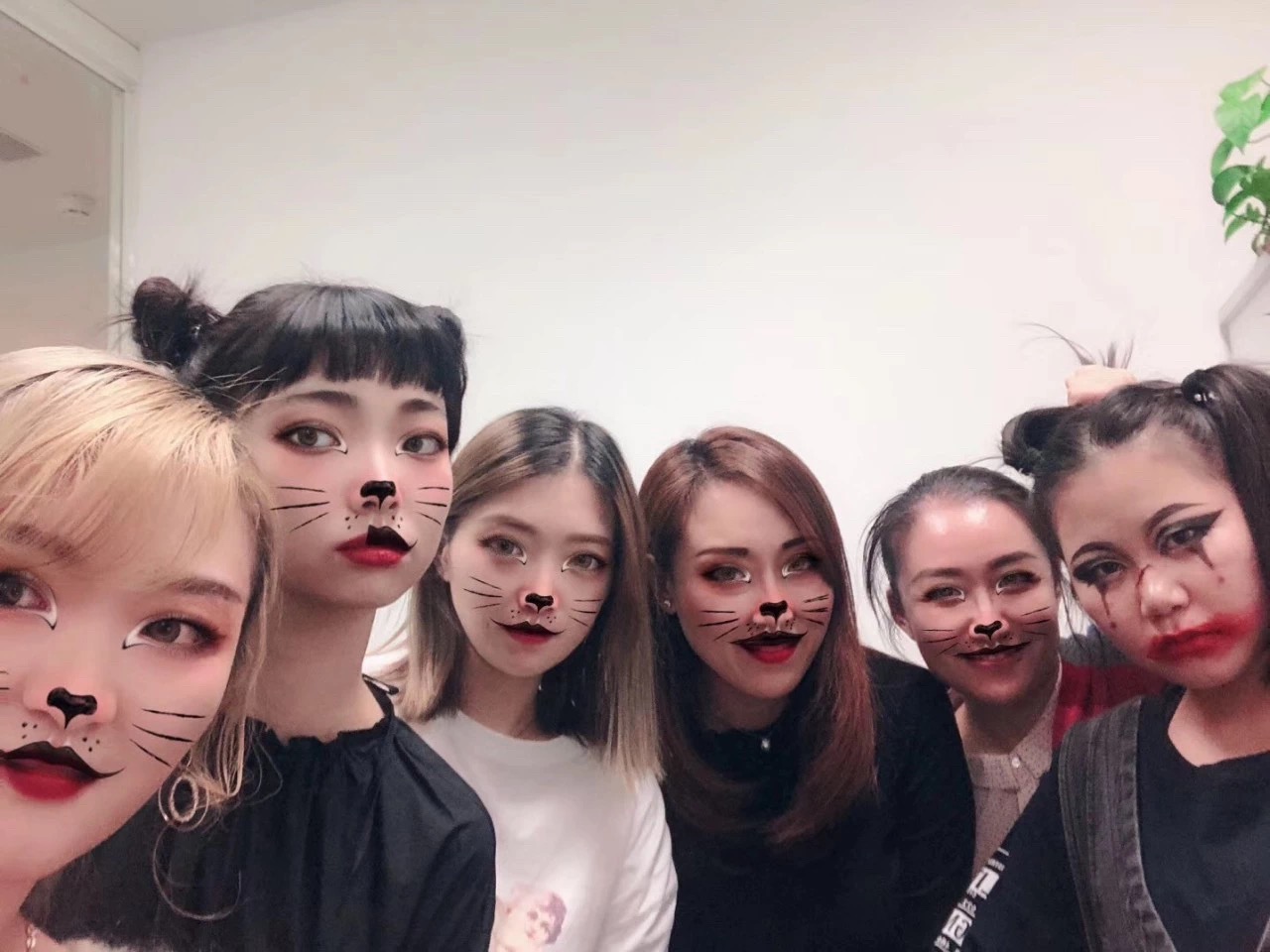 888腾博会-诚信为本,专业服务