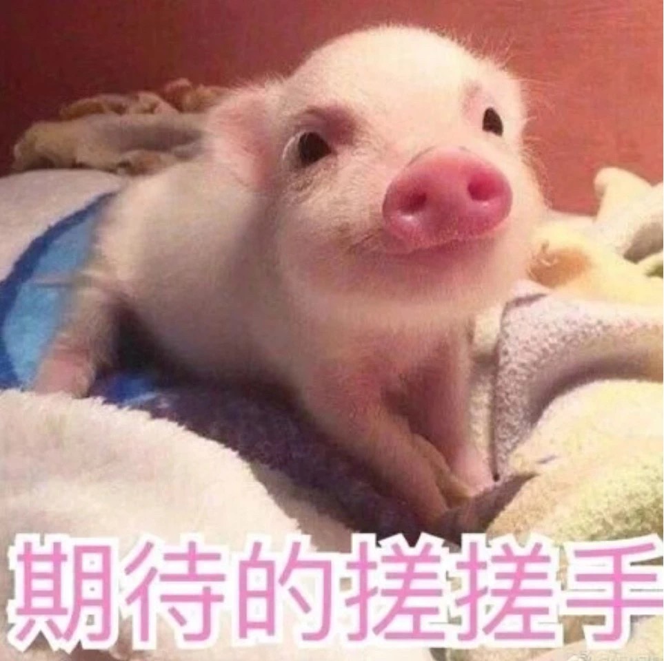 888腾博会-诚信为本,专业服务